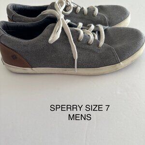 Sperry men's canvas shoe